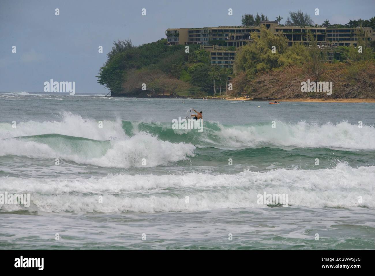 Hawaii tsunami hanalei