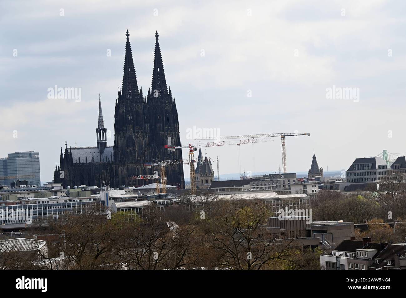 Kölner Dom über den Dächern der Stadt *** Cologne Cathedral above the ...