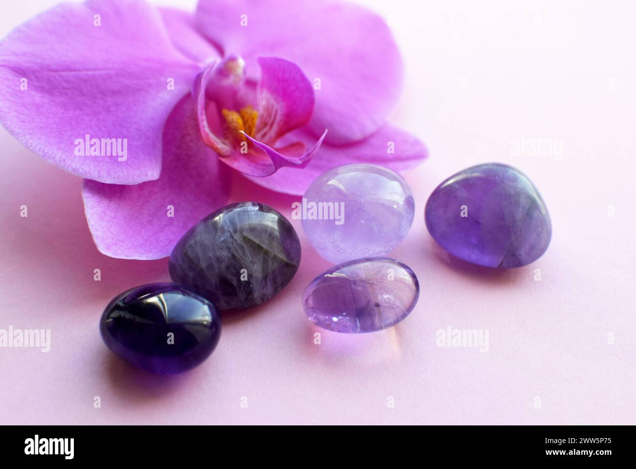 Amethyst crystals and orchid flower. Healing crystals, the magic of precious stones. Stock Photo