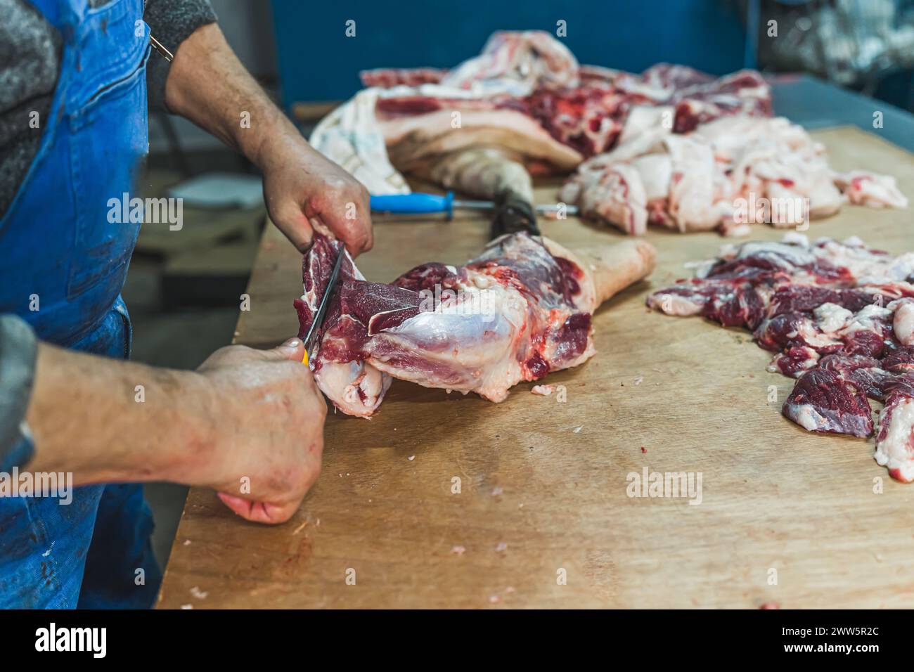 Meat processing in food industry, cutting pork into pieces. High quality photo Stock Photo