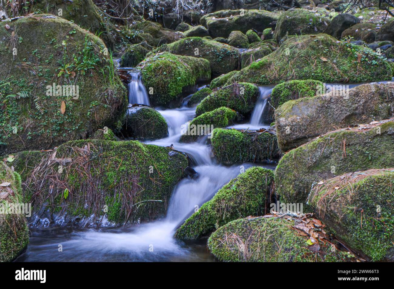 Stream Line Rocks Pristine stream flowing on rocks hi-res stock photography and images ...