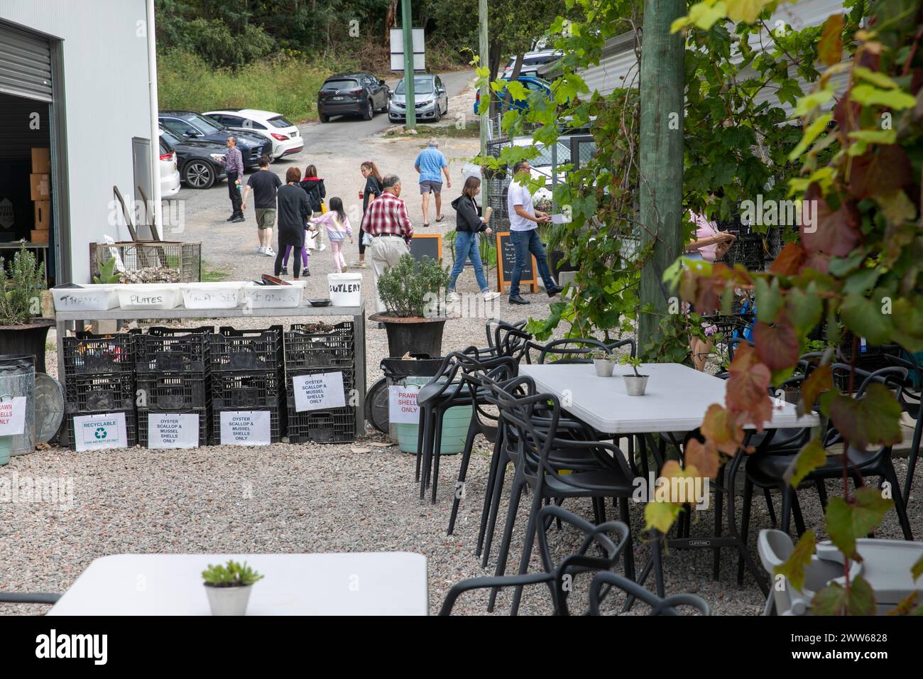 Oyster farm and restaurant, the Hawkesbury River oyster shed business