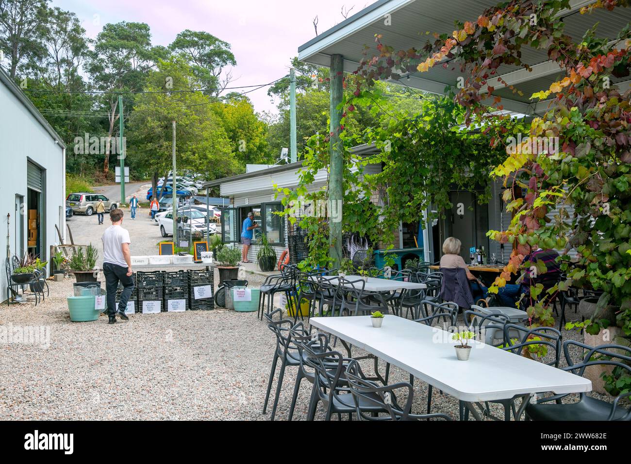 Hawkesbury River Oyster farm and shed restaurant in Mooney Mooney