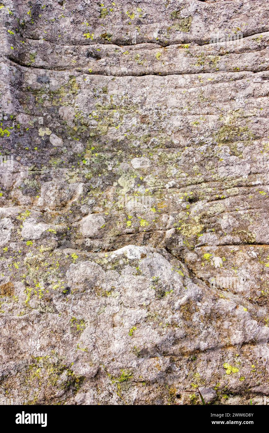 grungy texture of a grey stone with moss and caracks Stock Photo