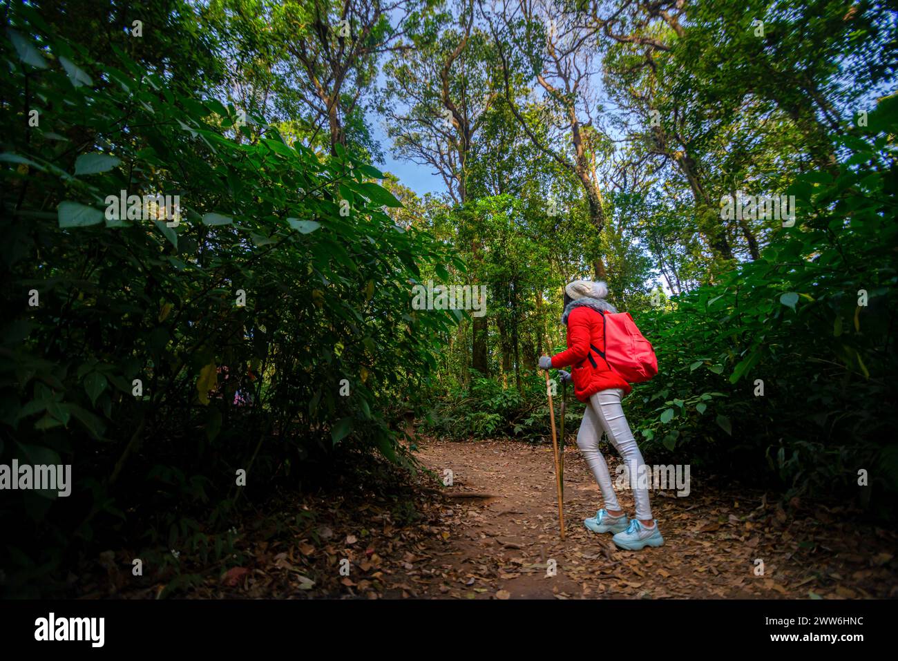 Asian female hiker backpack hi-res stock photography and images - Alamy