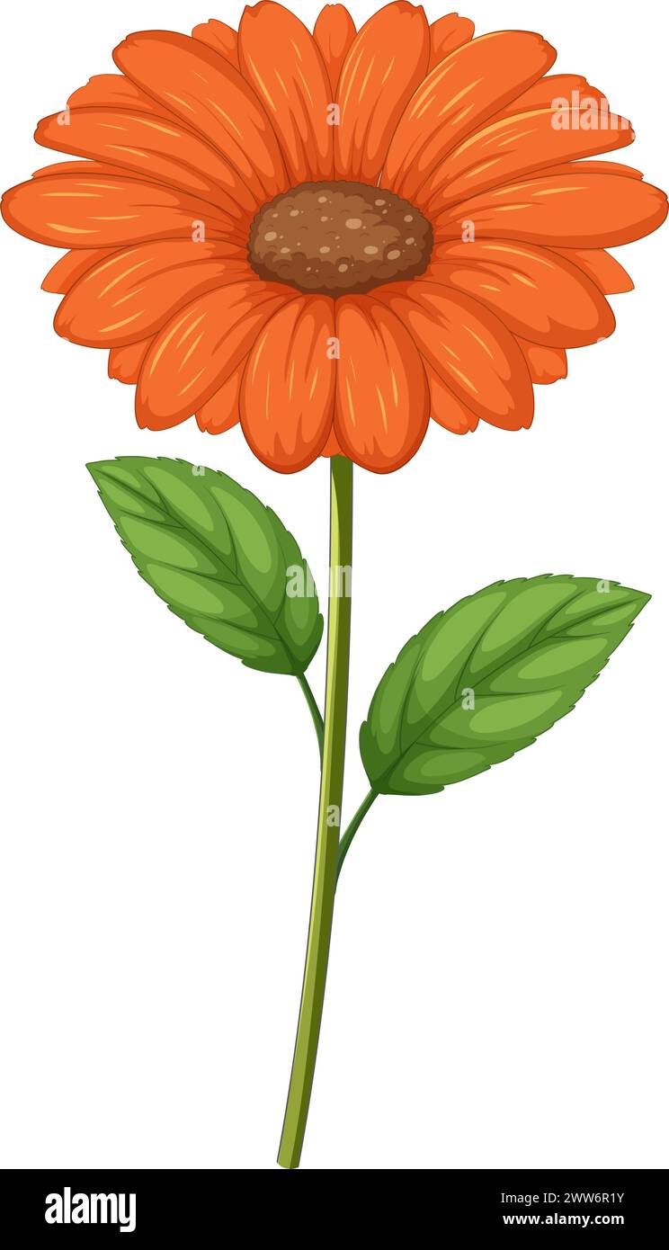 A detailed vector illustration of an orange flower Stock Vector Image ...