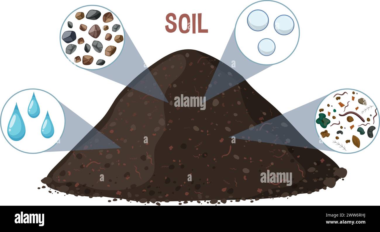 Illustration showing various components of soil. Stock Vector
