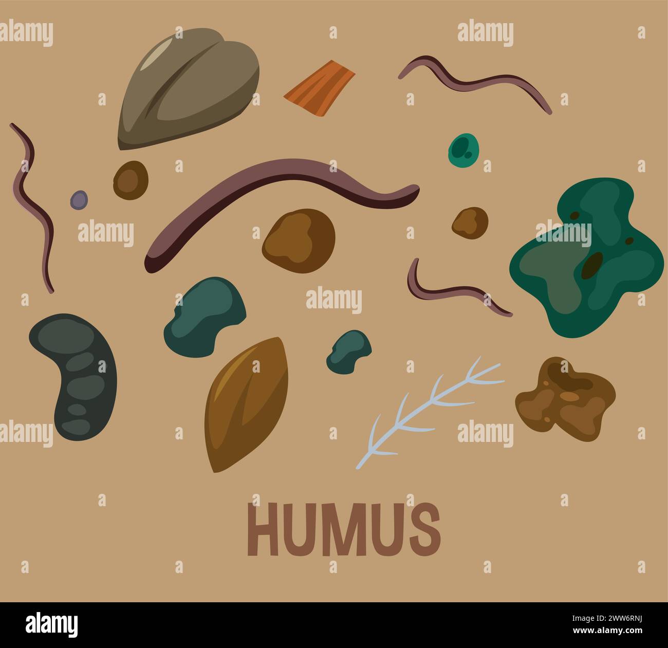 Vector illustration of various organic matter in soil Stock Vector ...