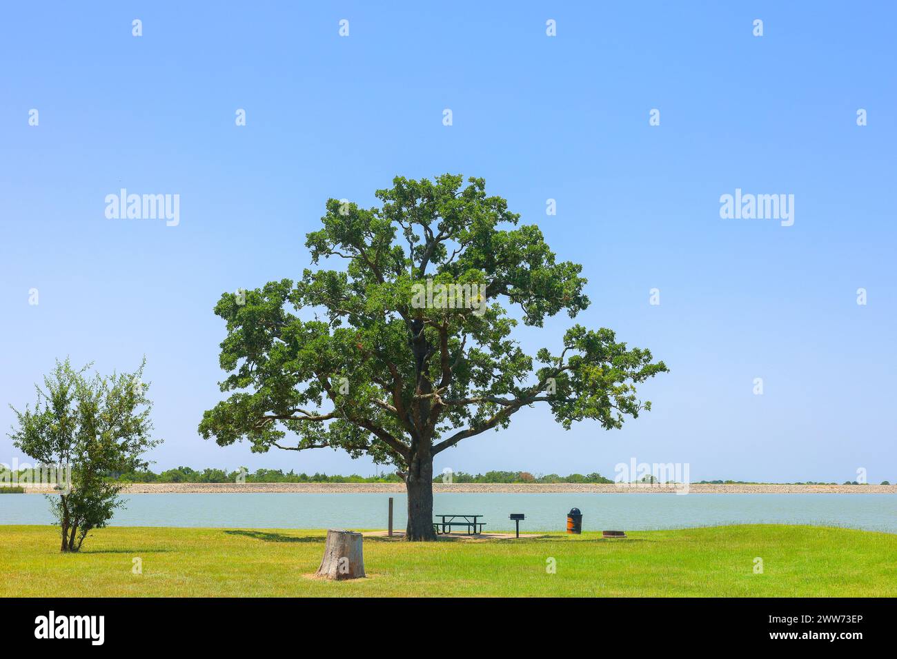 Majestic oak hi-res stock photography and images - Alamy