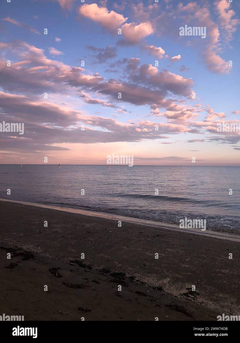 beach shore with calm sea at sunset with clouds and seagulls Stock ...