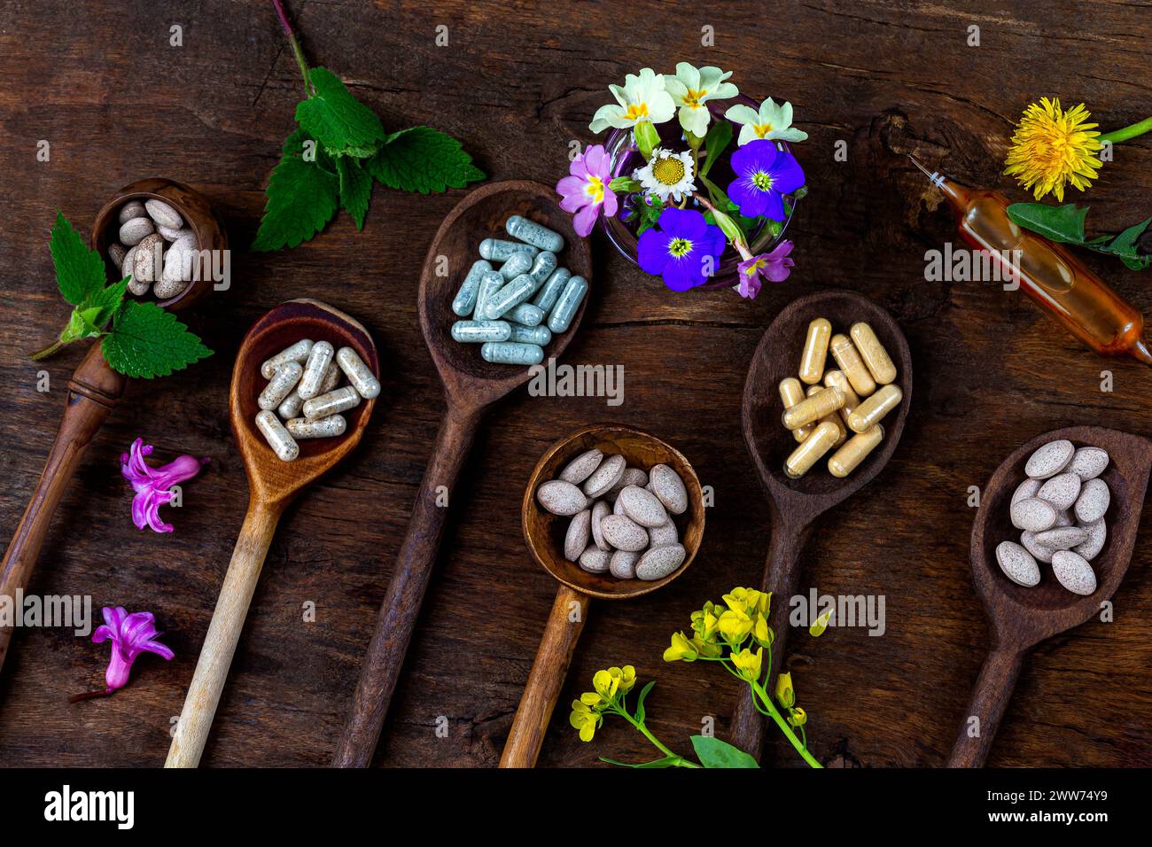 Natural medicine-Capsules, pills, ampoule and medicinal plants seen from above, in wooden spoons. Stock Photo