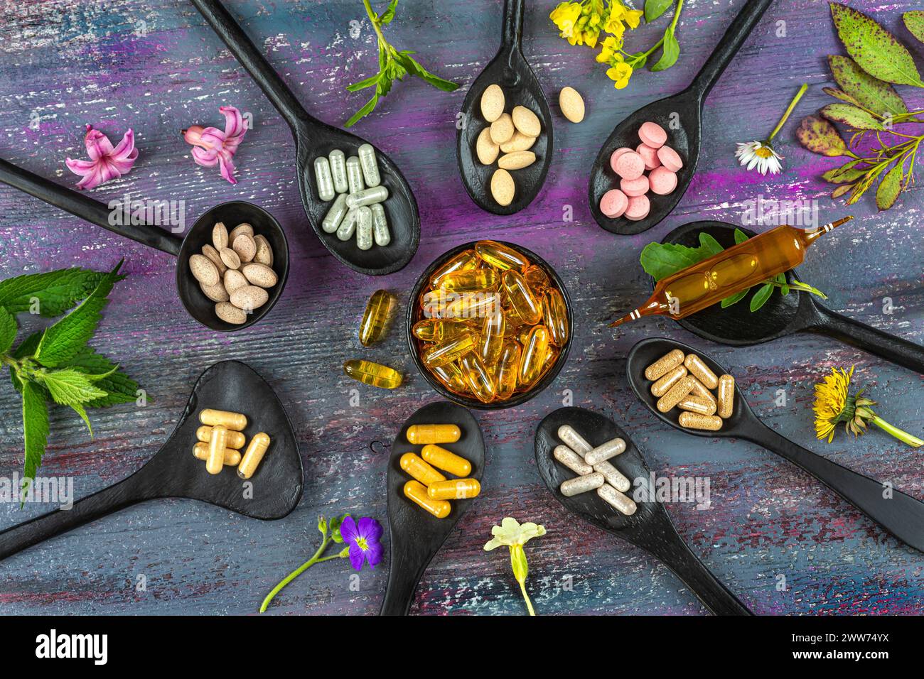 Capsules, pills and ampoule of dietary supplements surrounded by medicinal plants arranged in an oval top view. Stock Photo