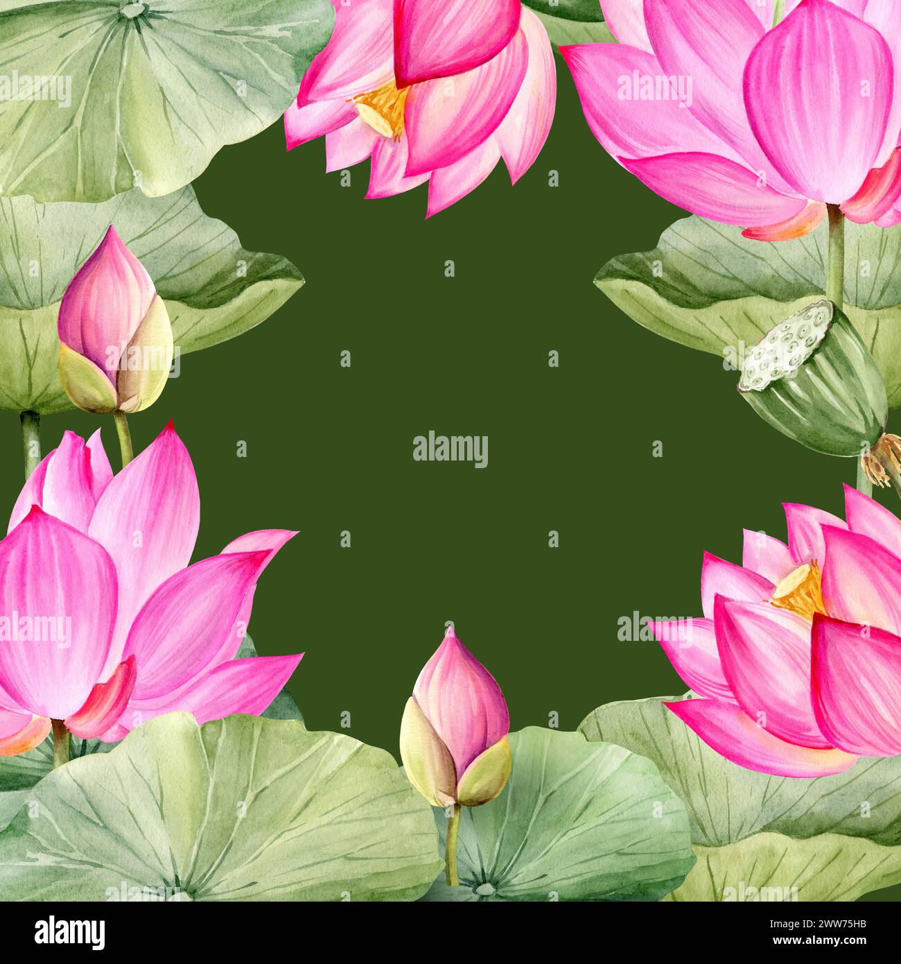 watercolor square frame with pink lotus flower, buds and leaves, hand ...