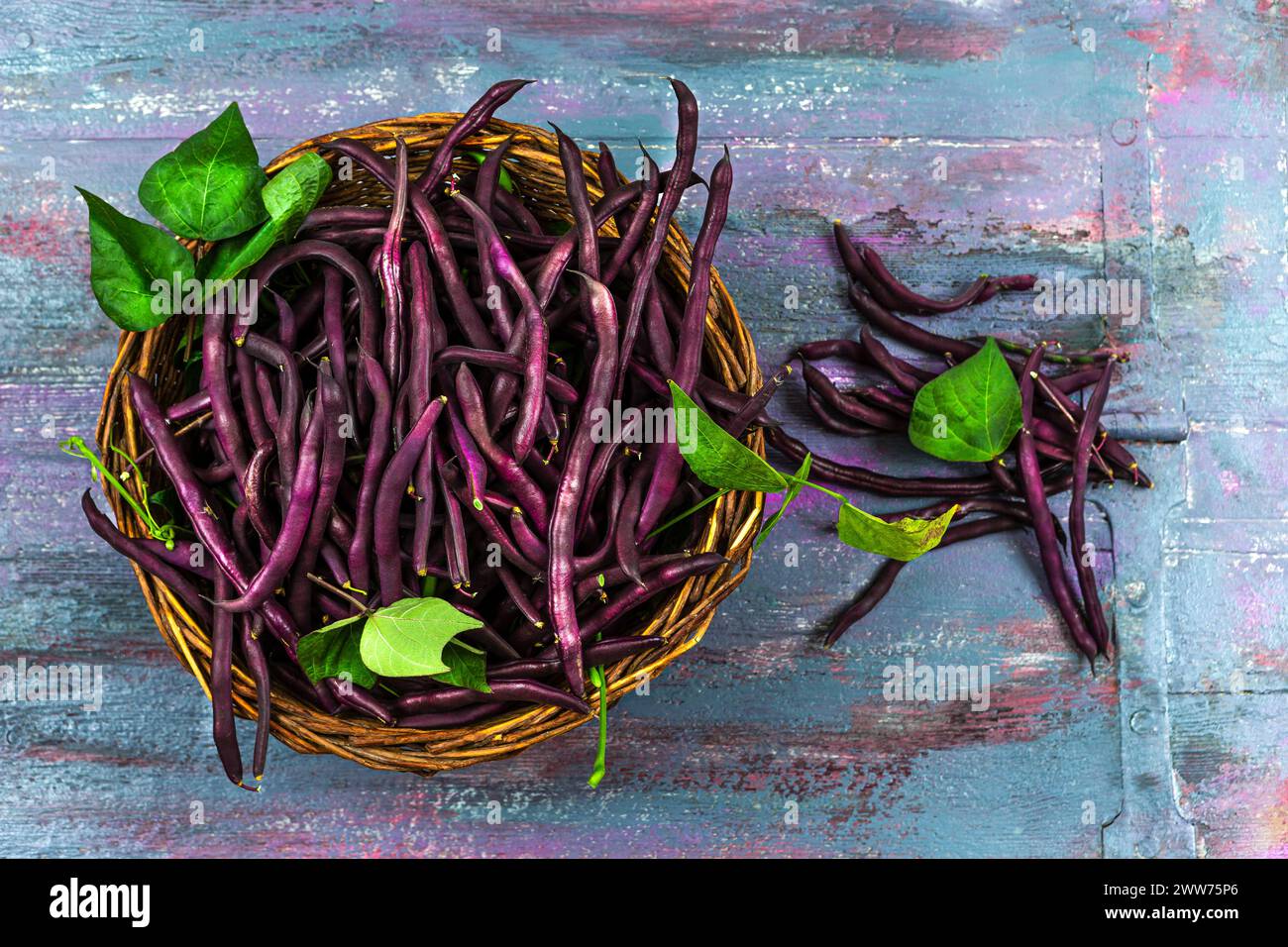 Melissa beans (Phaseolus vulgaris) in a basket. Stock Photo