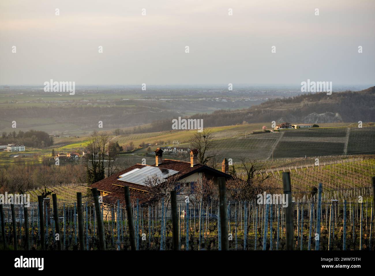 Paesaggio invernale, Langhe, Piemonte, Italia Stock Photo
