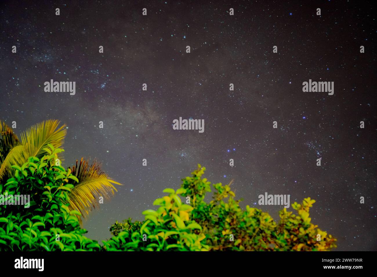 Memorizing astrophotography sky at night with star Stock Photo