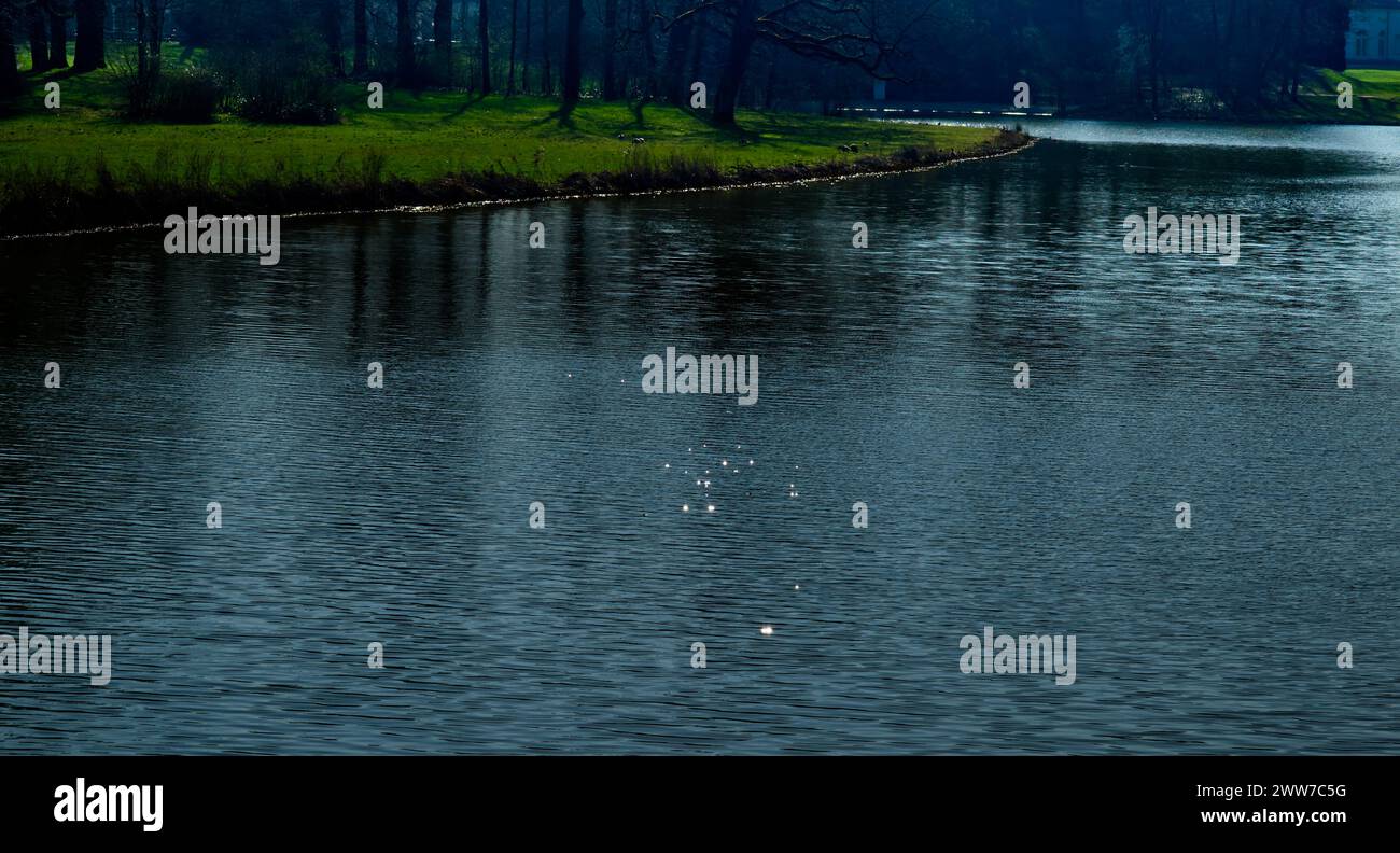 Small, glimmering lights at the dark blue surface of a lake and the green lakeshore in the background Stock Photo