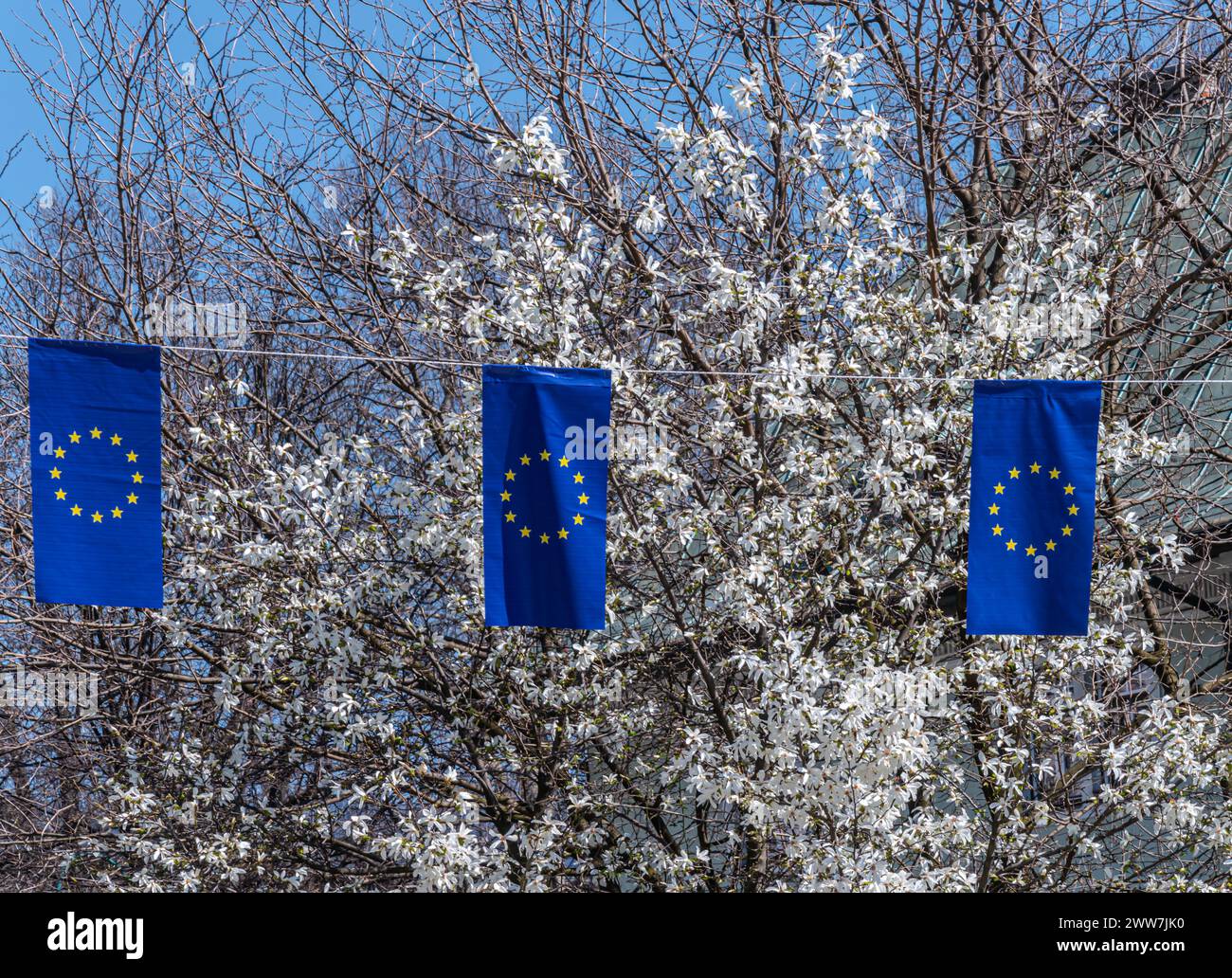 Sarajevo displays EU flags on the streets in hopeful anticipation of accession talks Stock Photo