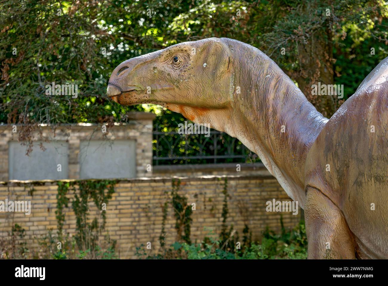 Dinosaur Iguanodon, iguana tooth, life-size replica in the garden in front of Hermann Hoffmann Academy, Justus Liebig University JLU, Old Town Stock Photo