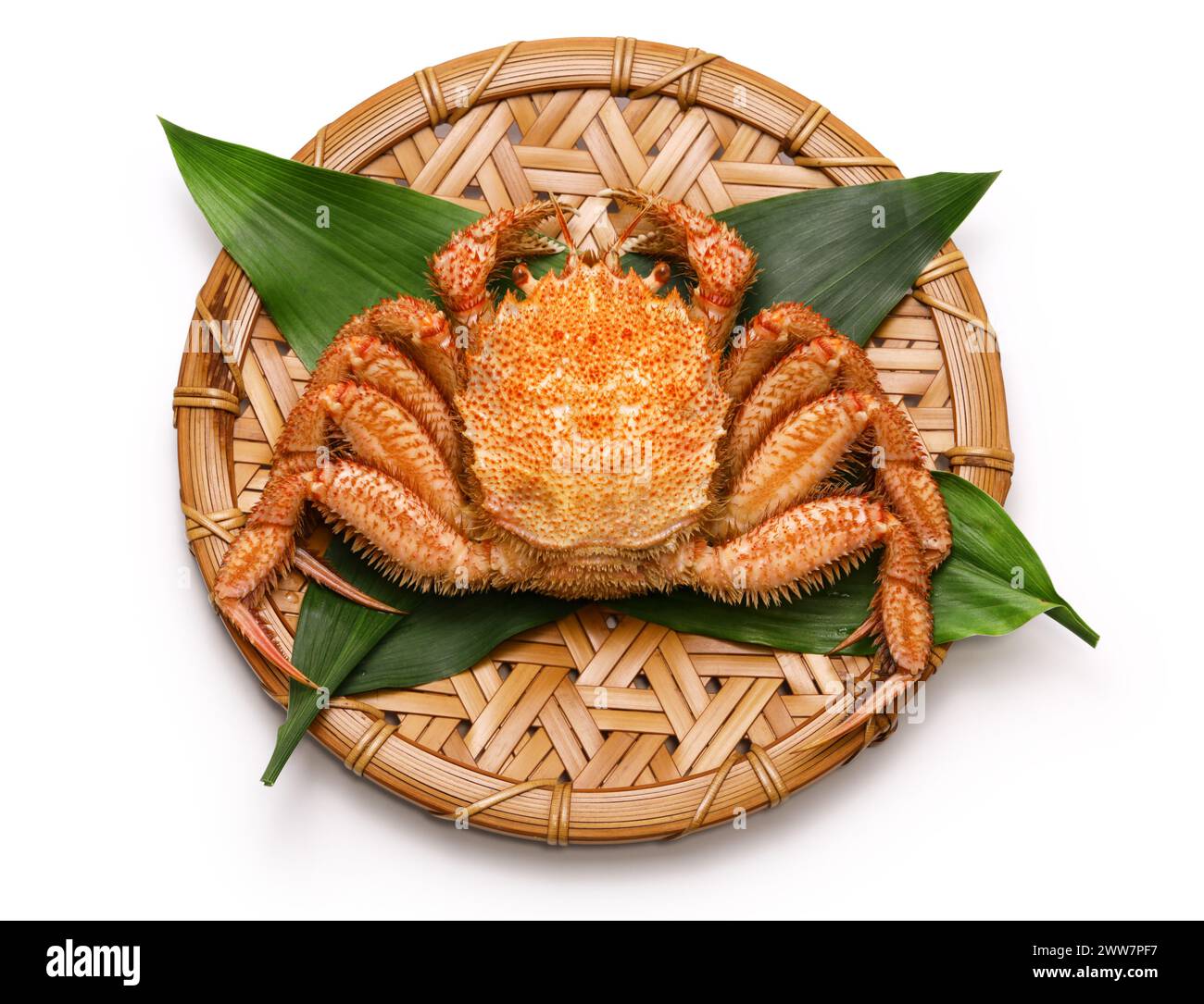 boiled horsehair crab(Kegani) from Hokkaido Stock Photo