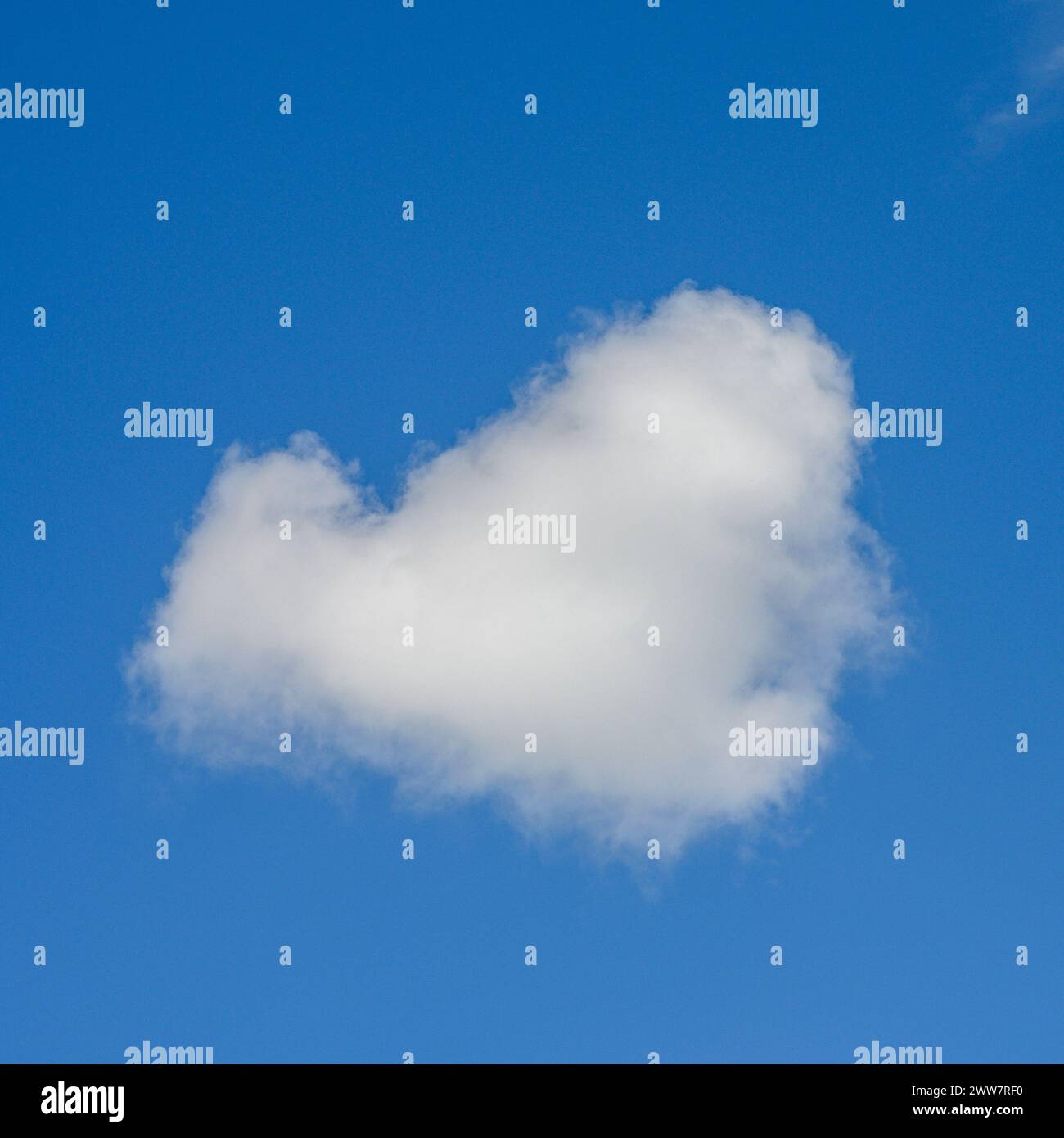 Single white fluffy cumulus mediocris cloud floats in a beautiful blue ...