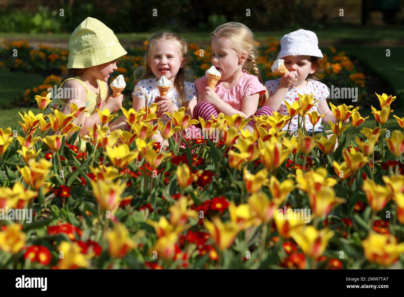 29/03/2012...As Britain continues to enjoy high temperatures, pals (L/R:) Amelia, 4, Lotta, 2, Isla, 4, and India, 2,  cool off with ice creams by tul Stock Photo