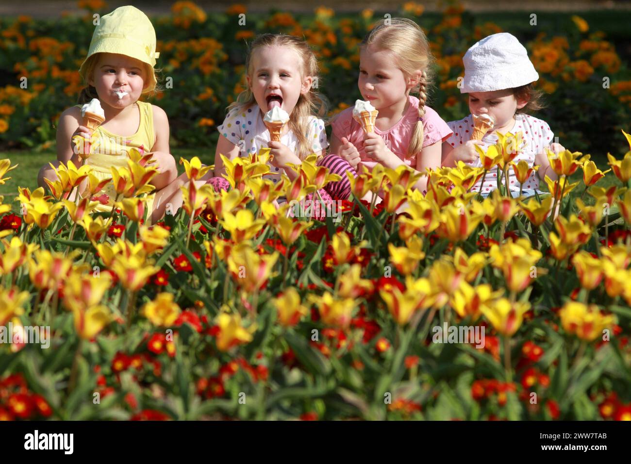 29/03/2012...As Britain continues to enjoy high temperatures, pals (L/R:) Amelia, 4, Lotta, 2, Isla, 4, and India, 2,  cool off with ice creams by tul Stock Photo