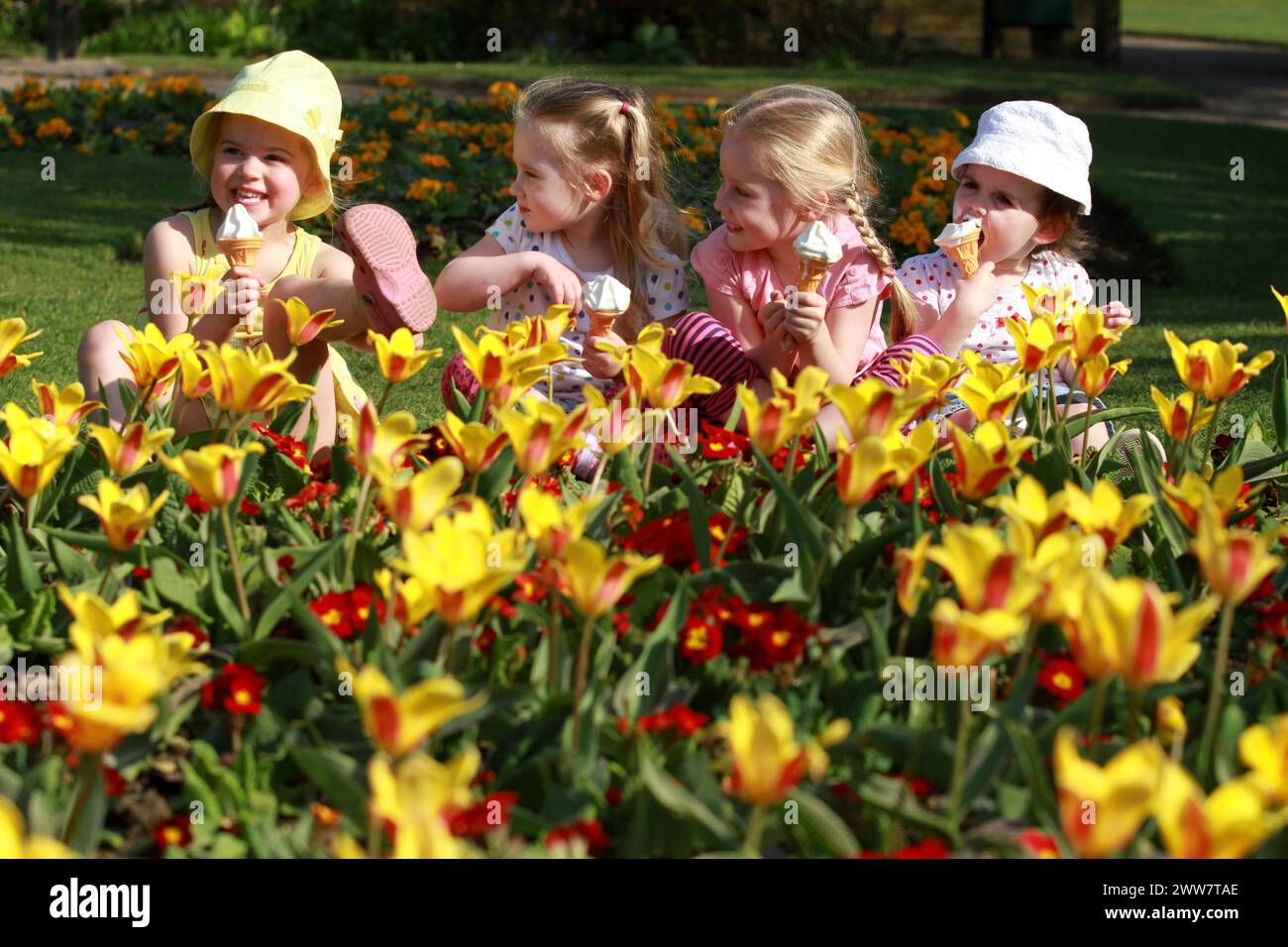 29/03/2012...As Britain continues to enjoy high temperatures, pals (L/R:) Amelia, 4, Lotta, 2, Isla, 4, and India, 2,  cool off with ice creams by tul Stock Photo