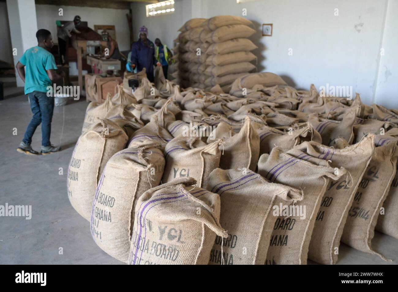 Ghana cocoa board hires stock photography and images Alamy