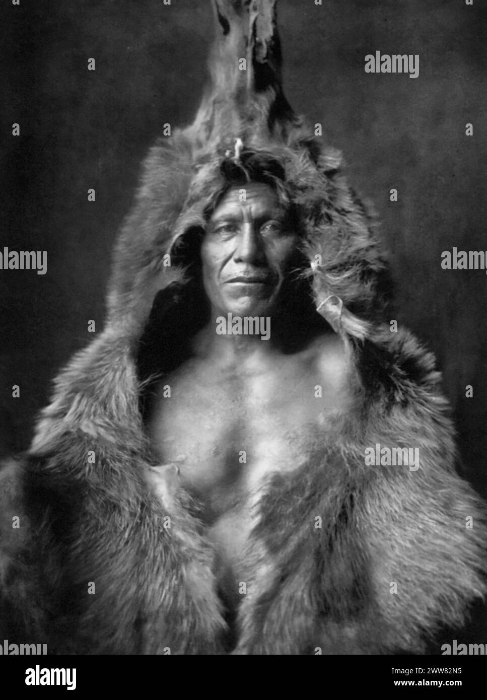 Edward Curtis - Bear's Belly - 'A member of the medicine fraternity, wrapped in his sacred bear-skin' (Arikara people) - 1908 Stock Photo