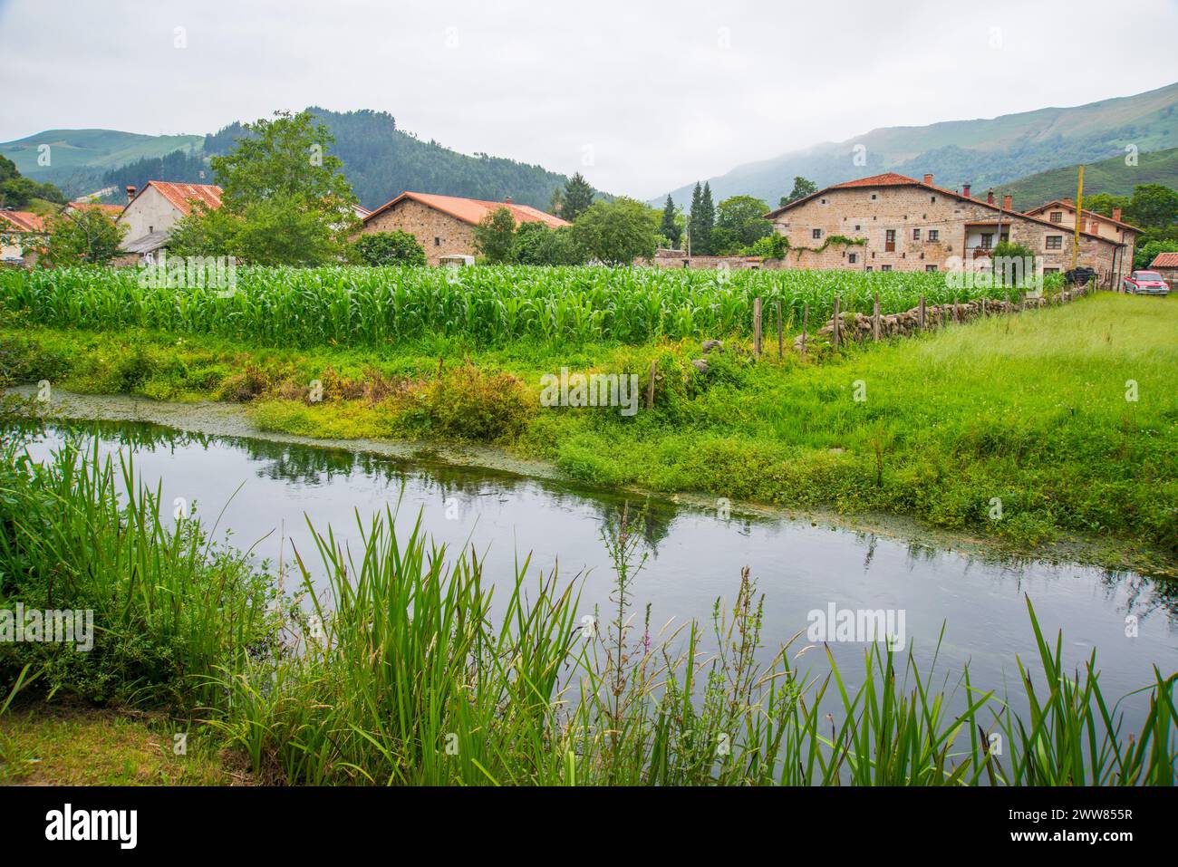 Landscape. Ruente, Cantabria, Spain. Stock Photo