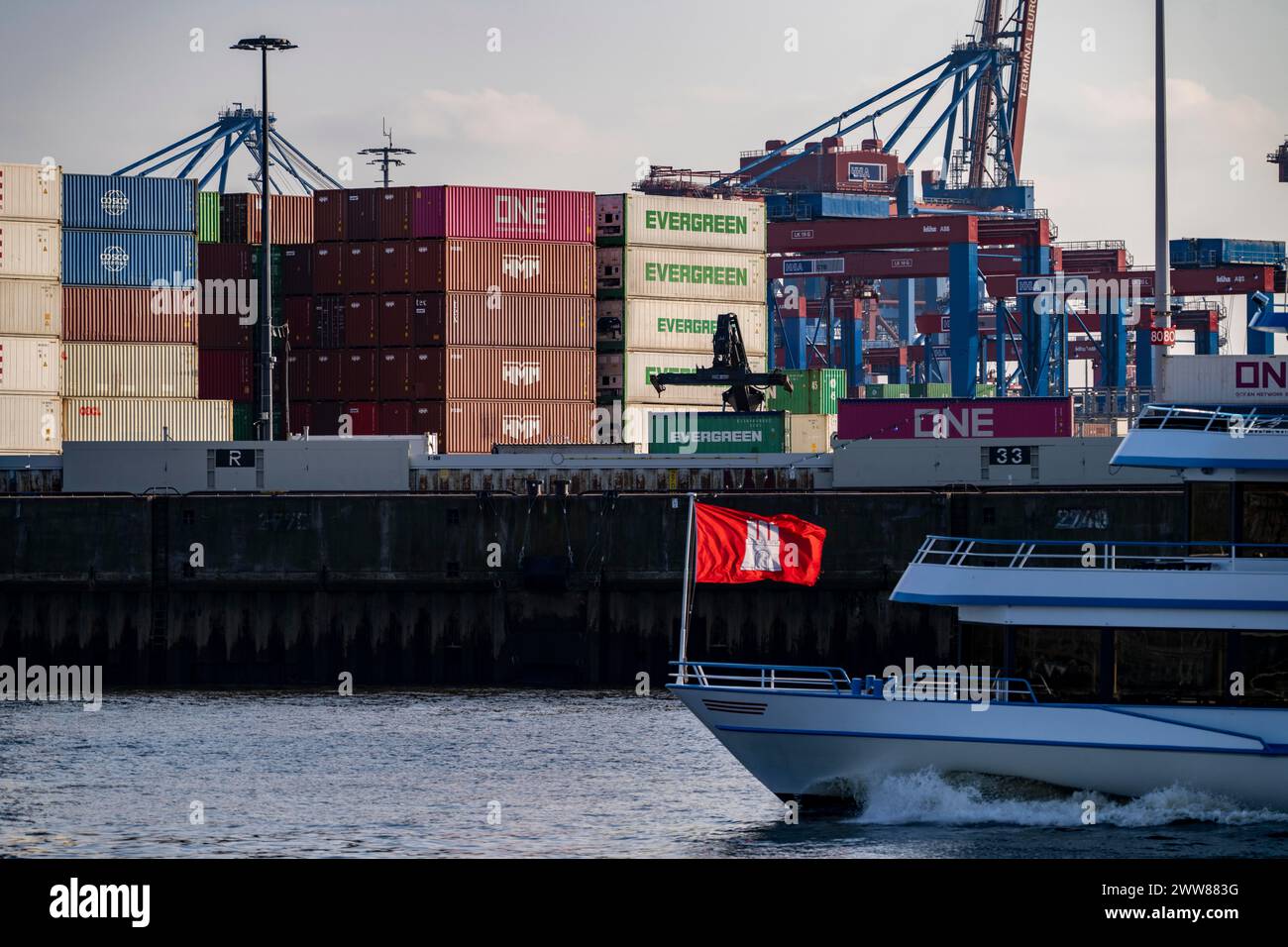 Excursion boat, harbor tour, on the Elbe, in front of the Burchardkai Container Terminal, Hamburg, Germany Stock Photo