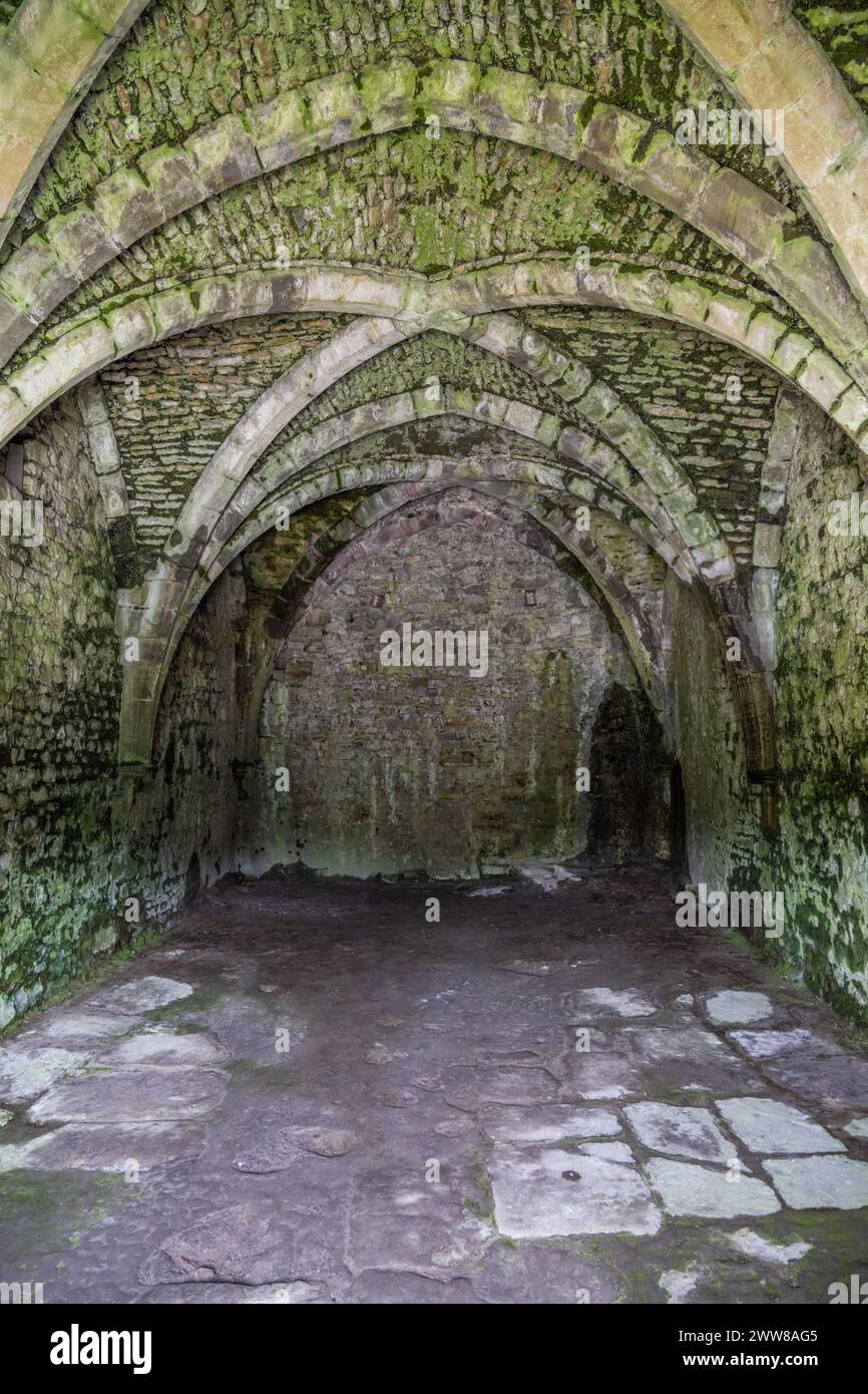 Wine Cellar, Chepstow castle, Wales, UK Stock Photo - Alamy