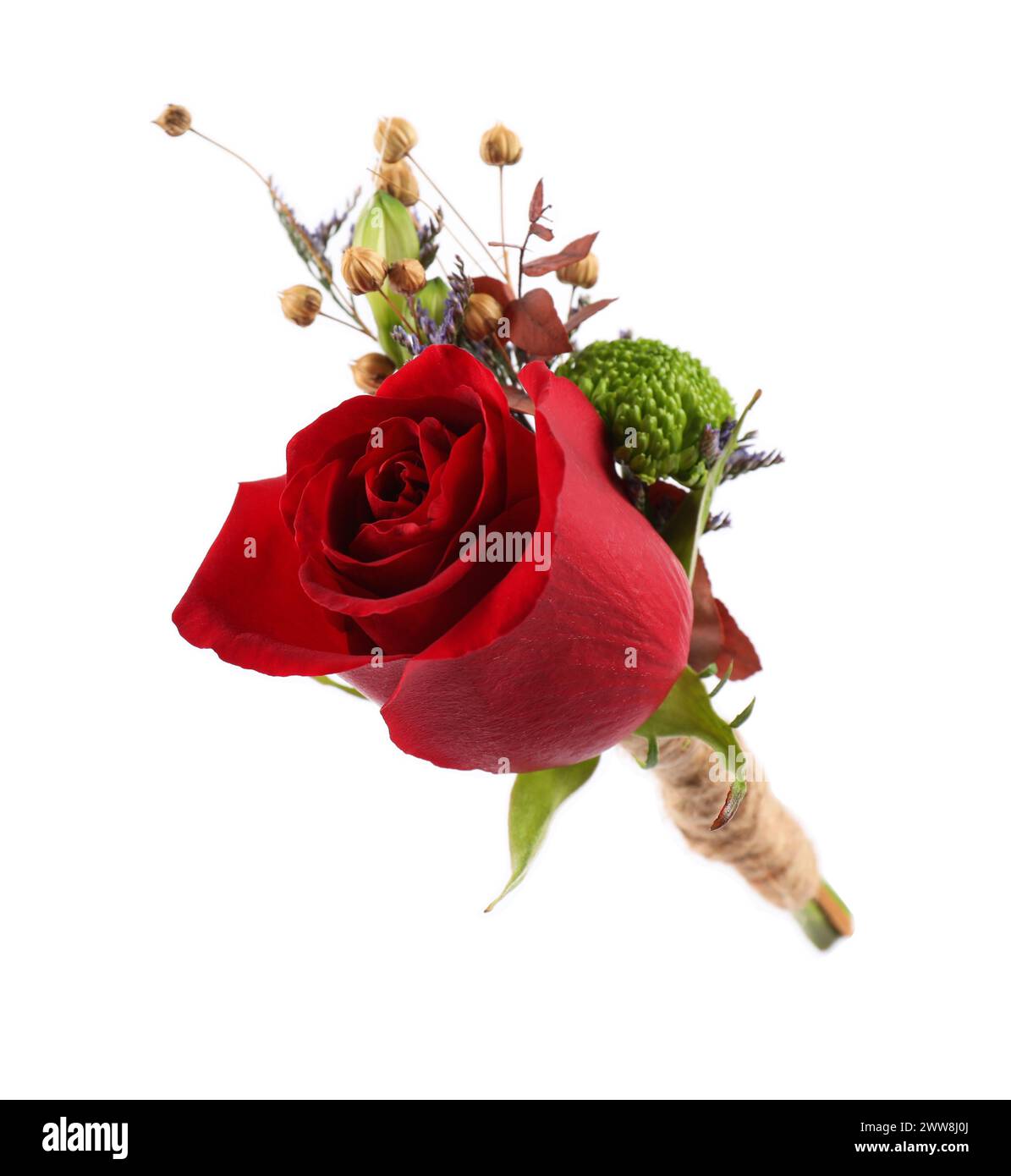 Stylish boutonniere with red rose isolated on white Stock Photo Alamy