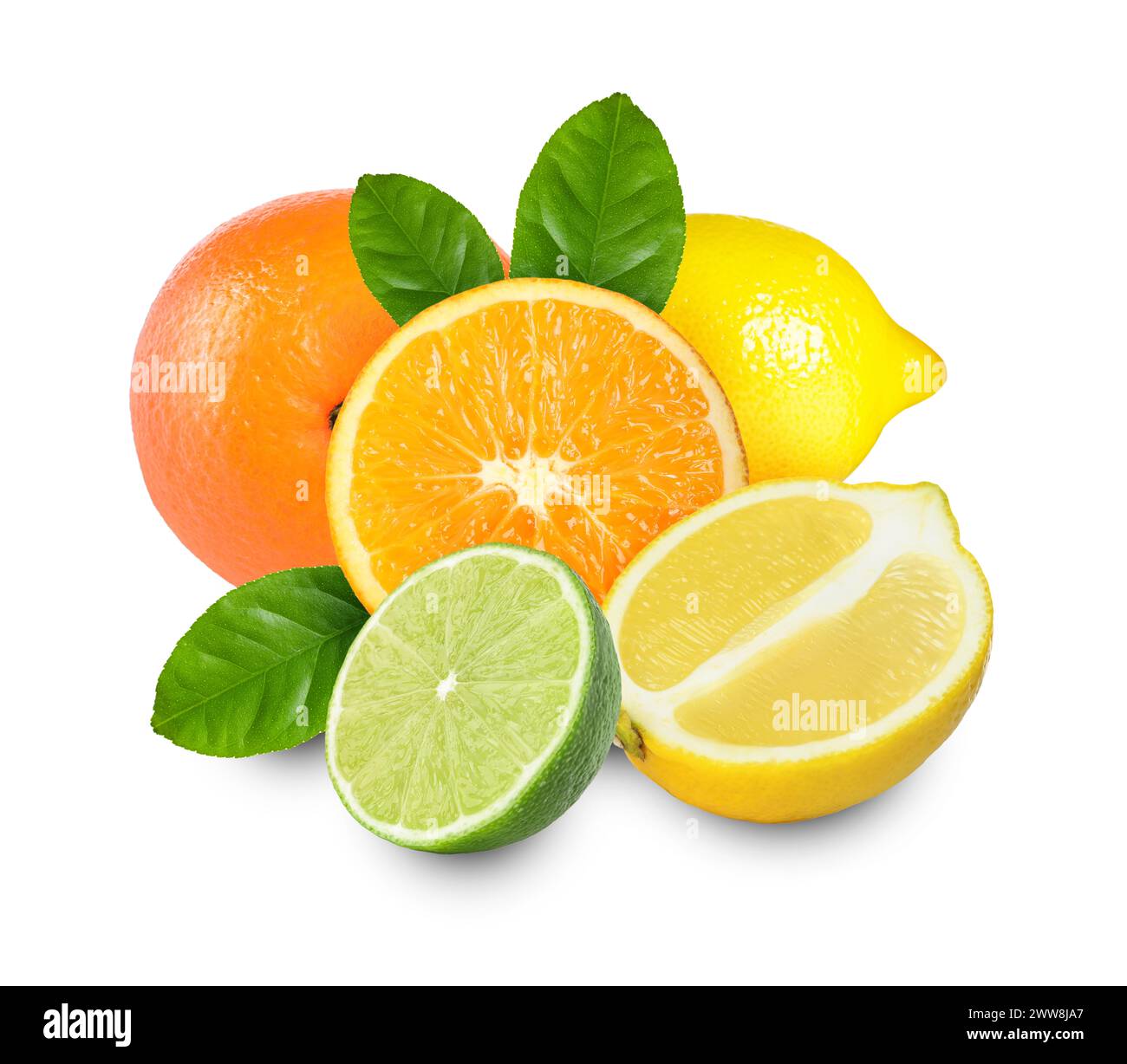 Citrus fruits. Fresh oranges, lemons and lime on white background Stock Photo