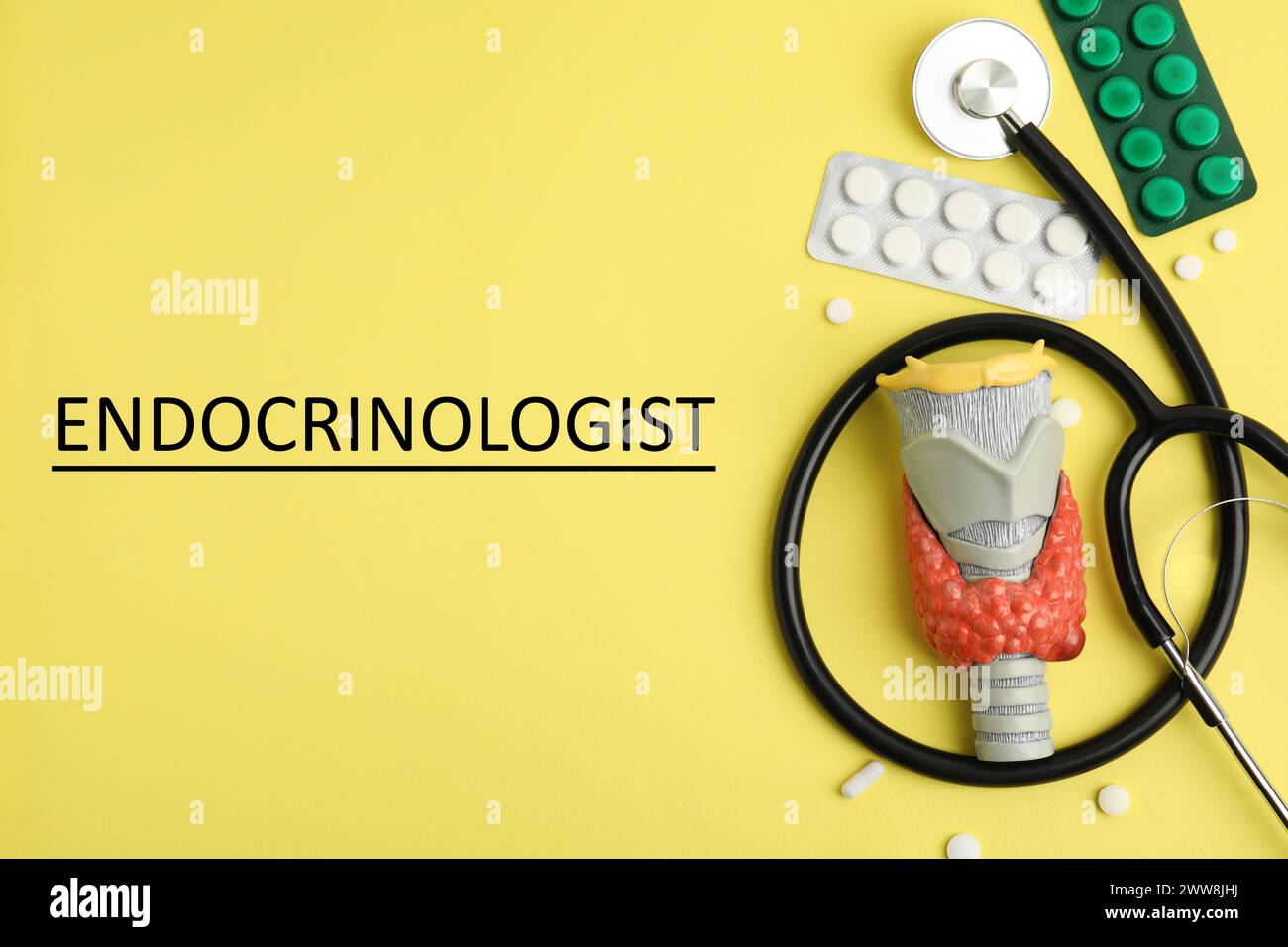 Endocrinologist. Model of thyroid gland, stethoscope and pills on yellow background, flat lay Stock Photo