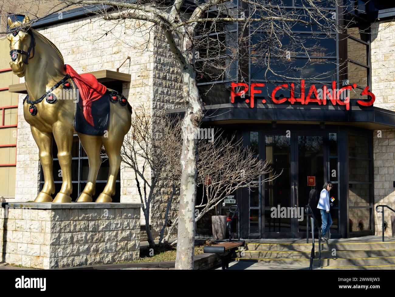 A restaurant, P.F. Chang's China Bistro, in Asheville, North Carolina
