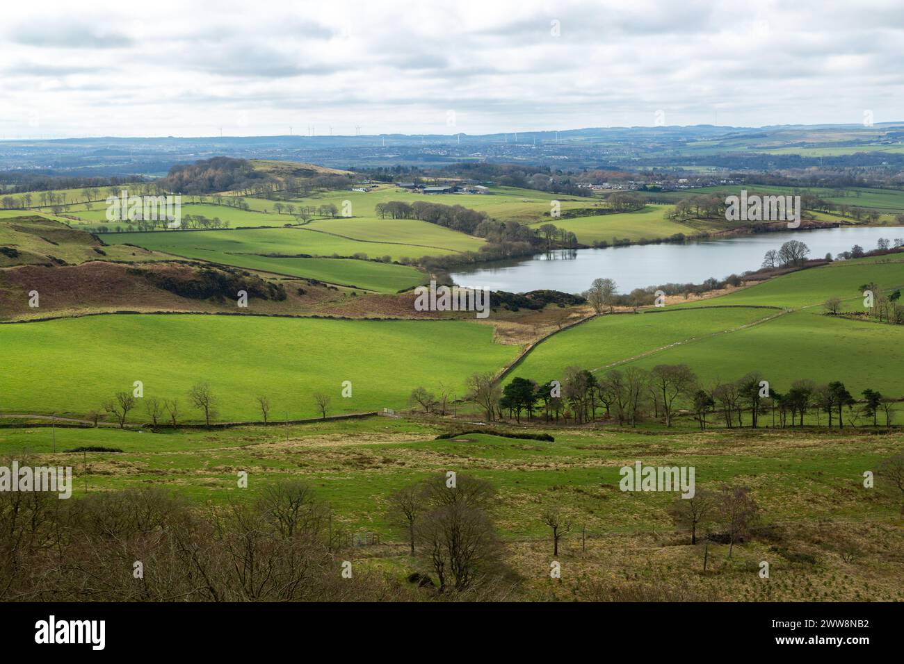 central-park-reservoir-spring-hi-res-stock-photography-and-images-alamy