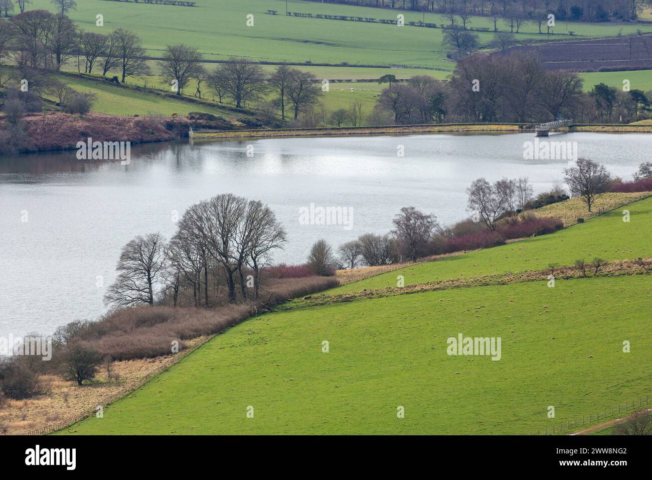 central-park-reservoir-spring-hi-res-stock-photography-and-images-alamy