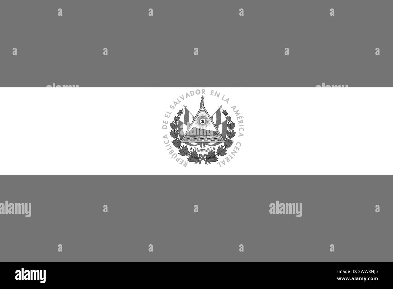 El Salvador flag - greyscale monochrome vector illustration. Flag in black and white Stock Vector