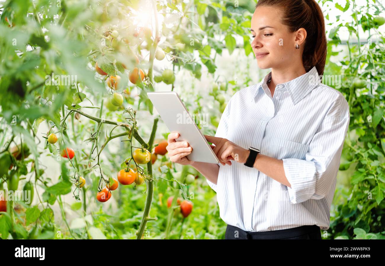 Retailer orders supply of farm-grown organic vegetables. Food quality inspector works on a digital tablet in an agricultural bio greenhouse. Stock Photo