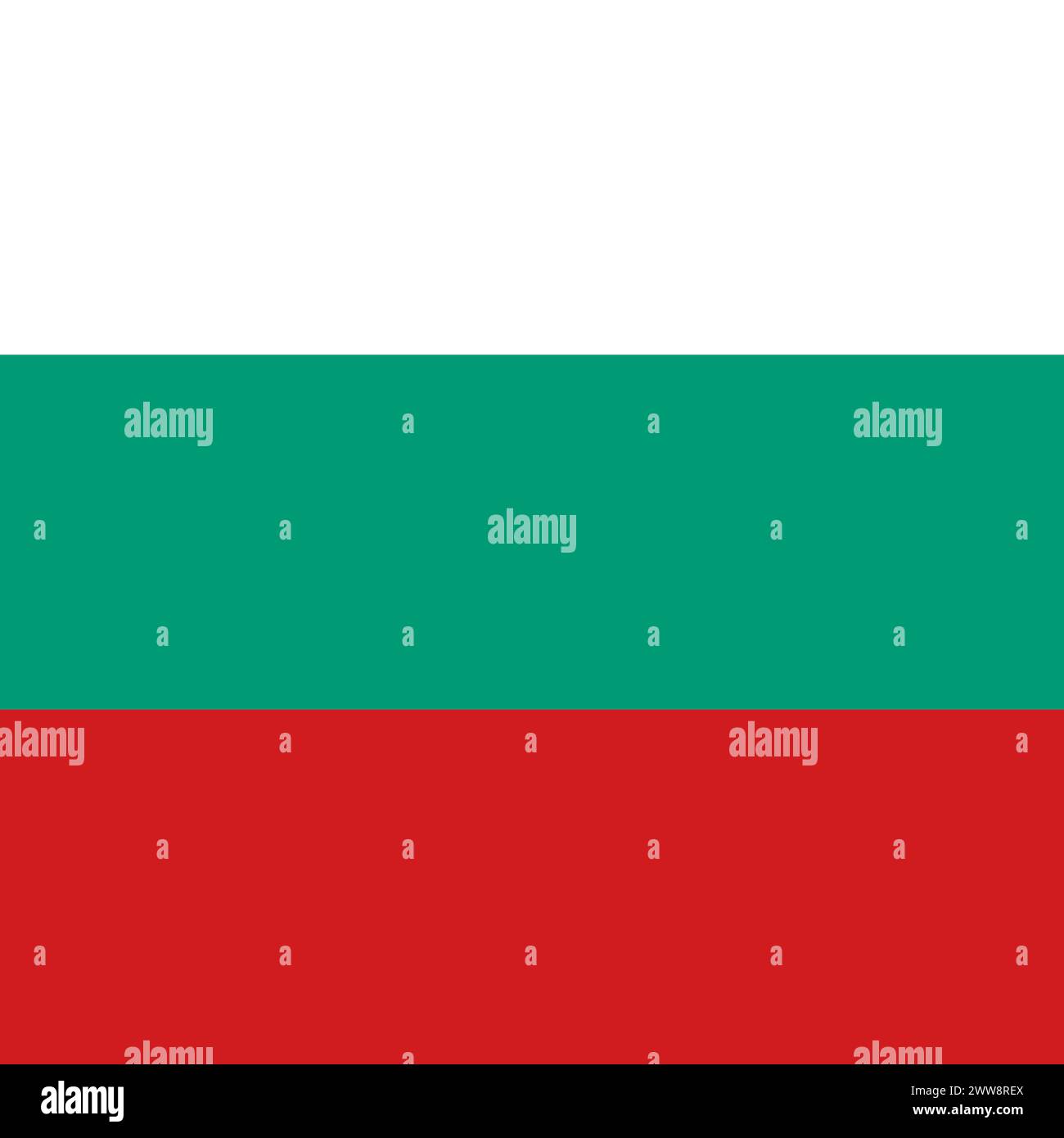Bulgaria flag - solid flat vector square with sharp corners. Stock Vector