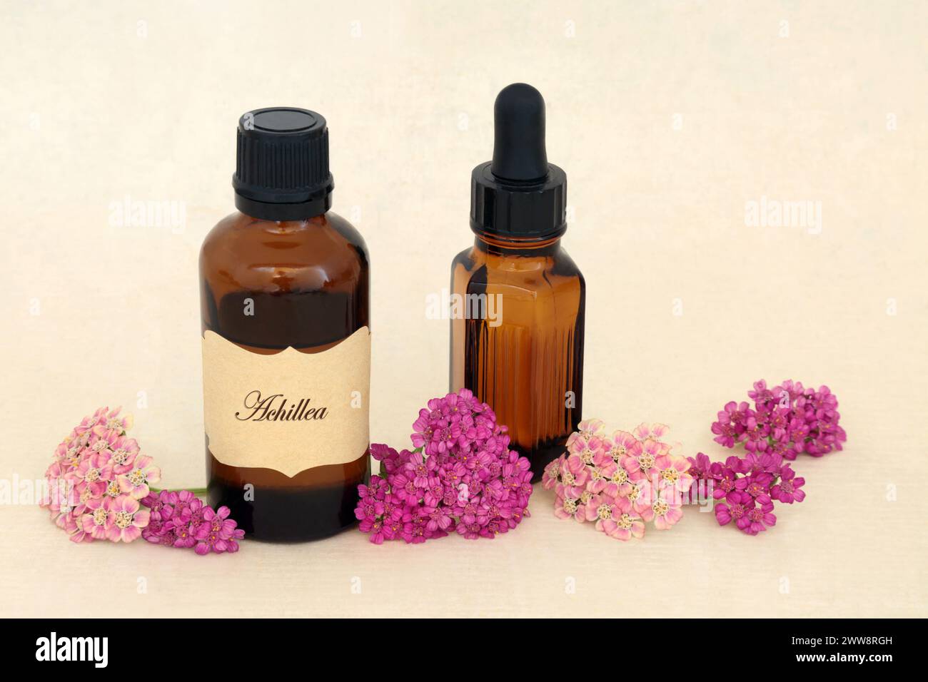 Yarrow flower essence hires stock photography and images Alamy