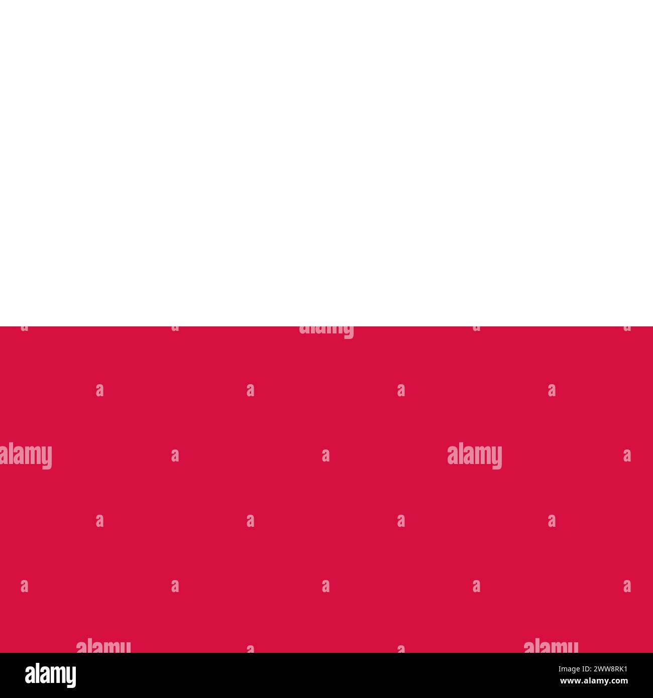 Poland flag - solid flat vector square with sharp corners. Stock Vector