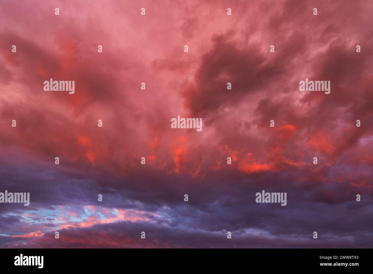 Harmonious display hi-res stock photography and images - Alamy