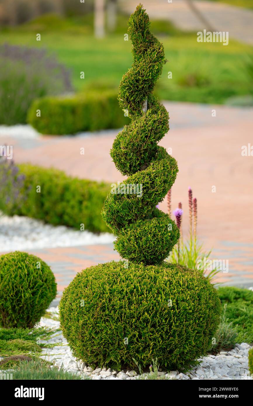 Nature's Geometry: Intricate Haircuts Sculpt Plants with Precision Stock Photo