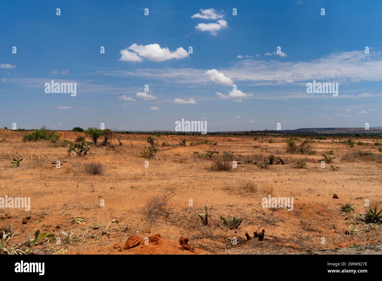 Landscape showing red laterite soils, Sakaraha, Atsimo Andrefana, Madagascar Stock Photo
