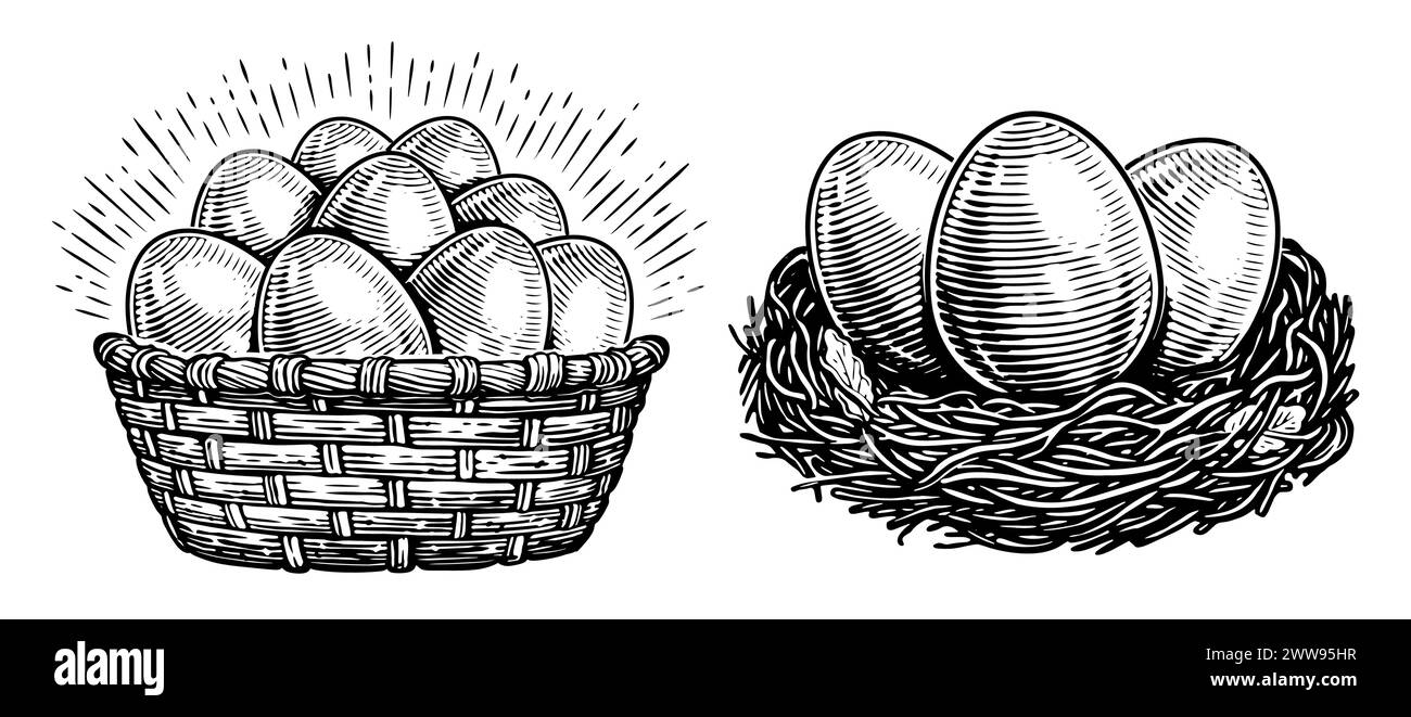 Chicken eggs. Farm organic food. Hand drawn illustration sketch Stock Vector