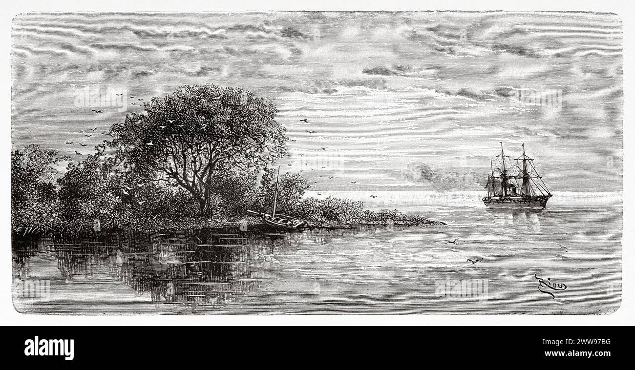 Oyapock River Mouth, French Guiana, South America. Drawing by Edouard Riou (1833 - 1900) From Cayenne to the Andes (1878-1879) by Jules Crevaux (1847 - 1882) Le Tour du Monde 1880 Stock Photo