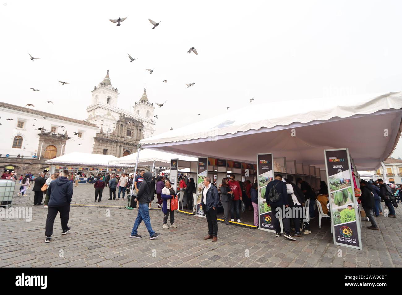 UIO-FERIA-PRODUCTIVA Quito, 22 de marzo de 2024. Feria Pichincha Productiva y Solidaria en la Plaza San Francisco. Servicios de atencion mÃ dica, artistas, patio de comidas y emprendimientos es la variada oferta de esta iniciativa que permanecera hasta el sabado 23. API / HAMILTON LOPEZ Quito Pichincha Ecuador SOI-UIO-FERIA-PRODUCTIVA-f1b489bd79e3f85a76bdc7b7d6aae22d *** UIO FERIA PRODUCTIVA Quito, March 22, 2024 Pichincha Productive and Solidarity Fair in Plaza San Francisco Medical care services, artists, food court and entrepreneurship is the varied offer of this initiative that will remain Stock Photo